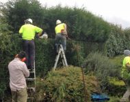 MIgroundforce 02 edited-1