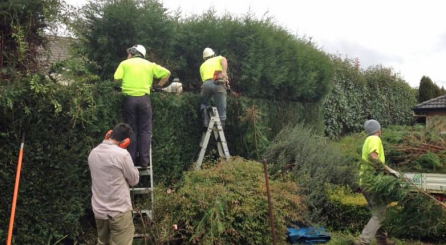 MIgroundforce 02 edited-1