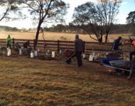 MIgroundforce 01 edited-1