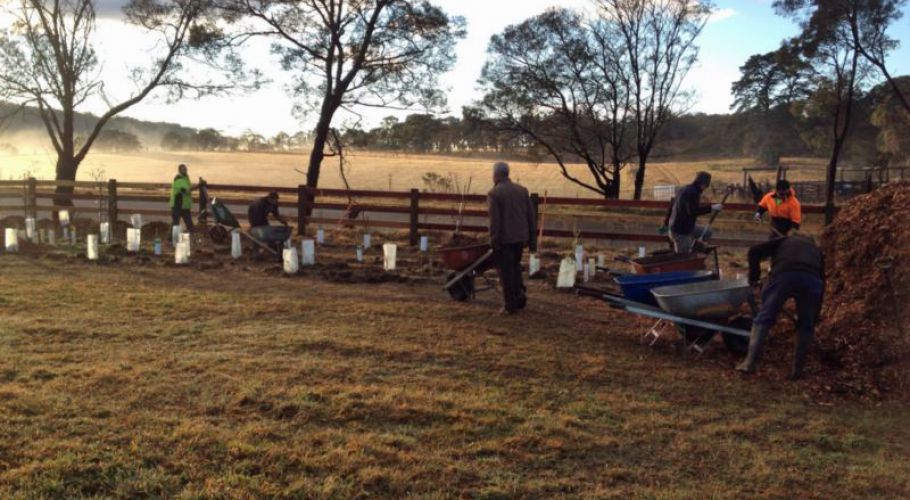 MIgroundforce 01 edited-1